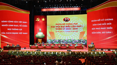 [Ảnh] Đại hội Đảng bộ Chính phủ lần thứ I tiến hành phiên trù bị