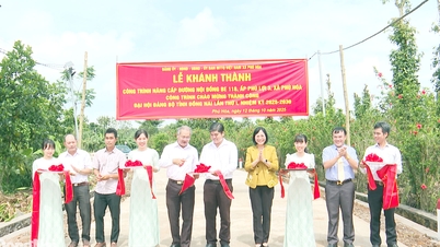 Les dirigeants du Comité populaire provincial de Dong Nai ont assisté à la cérémonie de lancement des travaux de mobilisation de masse dans la commune de Phu Hoa.