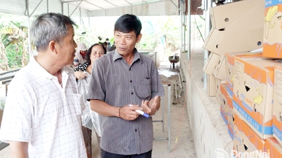 Le voyage d'un agriculteur qui apporte des bananiers vietnamiens aux quatre coins du monde