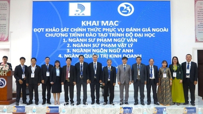 Die Khanh Hoa University startet eine offizielle Umfrage zur externen Bewertung von vier universitären Ausbildungsprogrammen