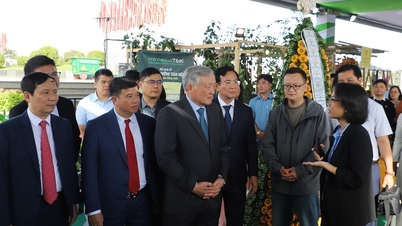 Lam Dong - a convergência de oportunidades e aspirações de investimento