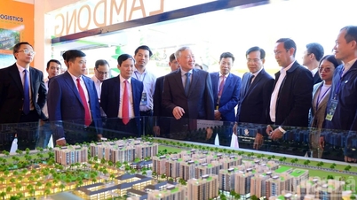 Lam Dong is an attractive destination for many businesses,...