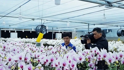 Quảng Trị kiện toàn Ban Chỉ đạo phát triển khoa học, công nghệ, đổi mới sáng tạo và chuyển đổi số