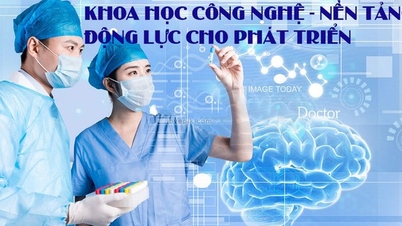 Khơi dậy sức mạnh đổi mới trong cải cách bộ máy chính quyền hai cấp: Vai trò tiên phong của ngành Khoa học và Công nghệ