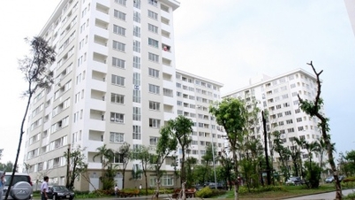 Từ 10/10/2025: Thu nhập vợ chồng 40 triệu đồng được mua nhà ở xã hội, lãi vay giảm về 5,4%/năm