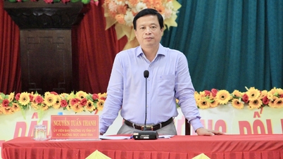 Tovarășa Nguyen Tuan Thanh a lucrat cu comunele Phu My Tay și An Luong la situația de după fuziune.
