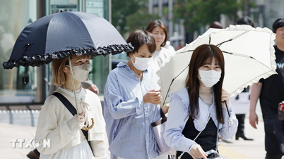 기후 변화로 일본 여름 '약 3주' 연장
