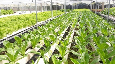 Kiên Giang sơ kết đánh giá kết quả công tác chuyển đổi số và thực hiện Đề án 06 quý I/2025