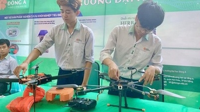 Die Leiter des Volkskomitees der Stadt arbeiteten mit dem Wissenschafts- und Technologieministerium der Stadt Da Nang an der Entwicklung eines innovativen Startup-Ökosystems.