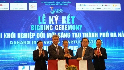 Da Nang - Platforma de lansare pentru unicorni blockchain în era Web3