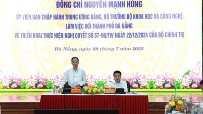다낭, 과학, 기술, 혁신 및 디지털 전환에 관한 결의안 57-NQ/TW 이행을 위한 10개 핵심 콘텐츠 그룹 제안