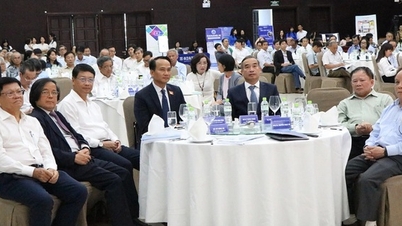 다낭은 새로운 시대의 도시 개발 요구에 부응하기 위해 고품질의 인적 자원을 개발합니다.