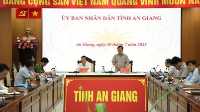 An Giang a organizat o întâlnire pentru a evalua rezultatele implementării dezvoltării științei și tehnologiei, inovării, transformării digitale și Proiectului 06