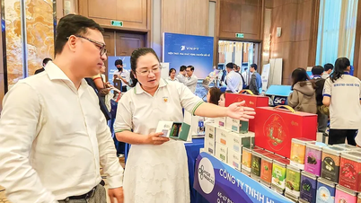 Nguồn năng lượng mới từ đổi mới sáng tạo