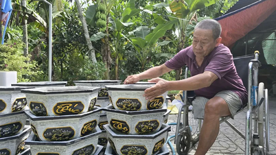 Vượt lên nghịch cảnh