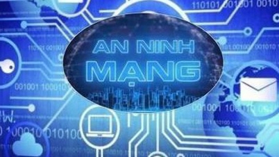An Giang: Erlass von Vorschriften zu Verwaltung, Betrieb, Anschluss, Gewährleistung der Informationssicherheit und Nutzung spezialisierter Datenübertragungsnetze in der Provinz
