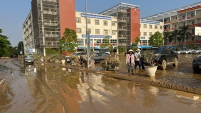 Las escuelas de Thai Nguyen limpian activamente el lodo tras las inundaciones y reanudan las clases a partir de hoy.