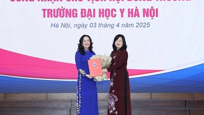 Bỏ hội đồng trường, có điều chỉnh nhiệm kỳ hiệu trưởng?