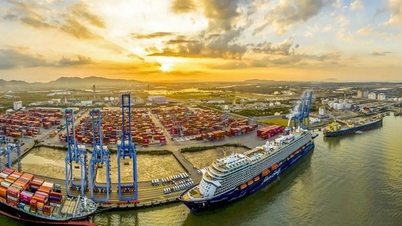 Das mit Seehäfen verbundene industrielle Ökosystem verhilft Ho-Chi-Minh-Stadt zu regionaler Ebene