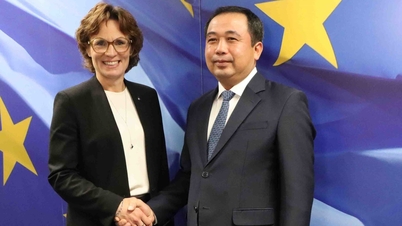 Việt Nam tăng cường hợp tác với EU và Bỉ về môi trường, phát triển bền vững
