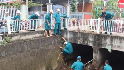 Para que el movimiento de protección del medio ambiente se extienda verdaderamente y sea sostenible