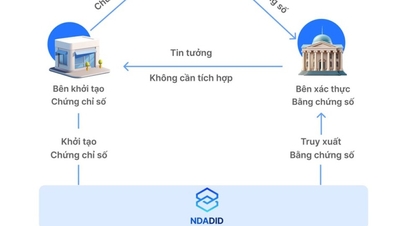 国家ブロックチェーンプラットフォーム - 国家デジタルアーキテクチャフレームワークにおける戦略的インフラストラクチャ