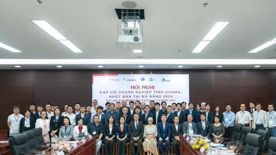 Kết nối hợp tác với doanh nghiệp tỉnh Gunma (Nhật Bản) tại Đà Nẵng