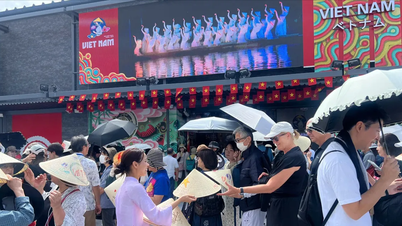 Vietnamul a câștigat premiul de argint pentru „Cel mai bun design expozițional”