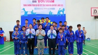 Giải Vovinam Thanh Hóa 2025: Lan tỏa tinh thần thượng võ, rèn luyện sức khỏe