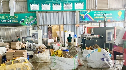 جلد ہی پیداوار اور کاروبار کو مستحکم کرنے کے لیے لچکدار