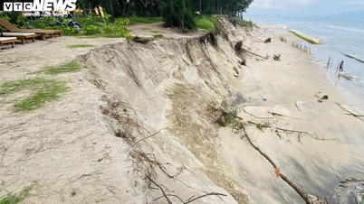 Las olas 'arrasan' carreteras de hormigón, 'arrasan' árboles de casuarina y destruyen la costa de Hoi An