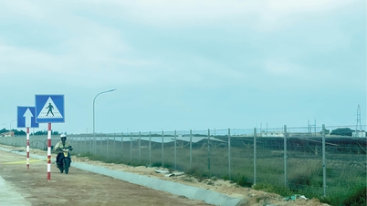 Quand le gouvernement central ouvre la voie à l’énergie verte