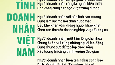 Dankbarkeit gegenüber vietnamesischen Geschäftsleuten