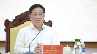 O presidente do Comitê Popular da Província de An Giang ouviu um relatório sobre o trabalho de construção de políticas especiais para a zona econômica especial de Phu Quoc.