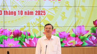 Business Association contributes to the rapid and sustainable development of Can Tho City