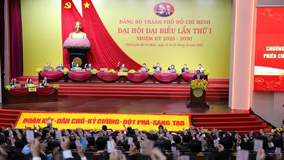 ກອງ​ປະຊຸມ​ໃຫຍ່​ຄັ້ງ​ທີ 1 ຂອງ​ຄະນະ​ພັກ​ນະຄອນ​ໂຮ່ຈິ​ມິນ ​ໄດ້​ດຳ​ເນີນ​ກອງ​ປະຊຸມ​ກະກຽມ.