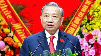 “Mỗi năm đối mặt hơn 10 cơn bão, đắp đê không thể chỉ là những bao cát”