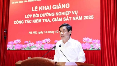 Bồi dưỡng chuyên sâu nghiệp vụ kiểm tra, giám sát thích ứng với yêu cầu chuyển đổi số