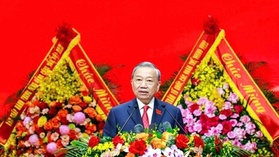 林鄭月娥書記長より：政府党委員会は、政治的気概、知性、革新性、公務員倫理の模範となる必要があります。