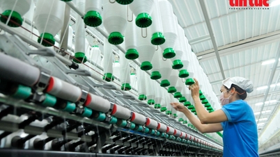 Las empresas de Ciudad Ho Chi Minh aceleran la transformación digital para conquistar el mercado global