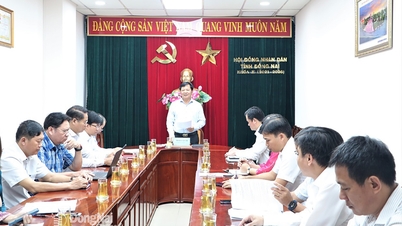 ត្រួតពិនិត្យការអនុវត្តគម្រោងដែលសម្រេចដោយក្រុមប្រឹក្សាប្រជាជនខេត្ត ស្តីពីគោលនយោបាយវិនិយោគរយៈពេល ២០២១-២០២៥