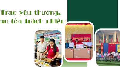 ផ្តល់ក្តីស្រលាញ់ ទំនួលខុសត្រូវ
