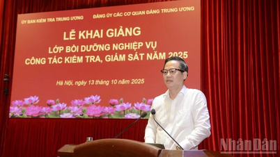 Bồi dưỡng chuyên sâu nghiệp vụ kiểm tra, giám sát cho cán bộ trong Đảng bộ các cơ quan Đảng Trung ương