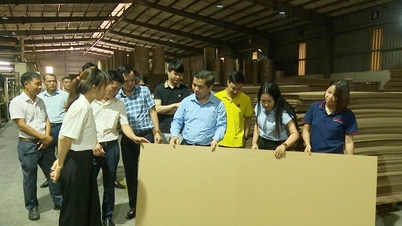 Tổng kết đề án hỗ trợ kỹ thuật để doanh nghiệp áp dụng công cụ cải tiến liên tục trong sản xuất