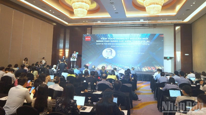 AI applications enhance auditing capacity