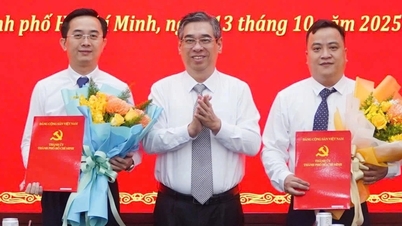 Trao quyết định bổ nhiệm 2 Thư ký Bí thư Thành ủy TPHCM