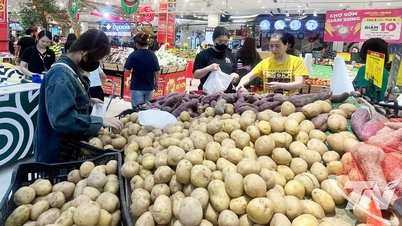 "Renascimento" do mercado
