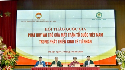 Förderung der Rolle der Vietnamesischen Vaterländischen Front bei der privaten Wirtschaftsentwicklung