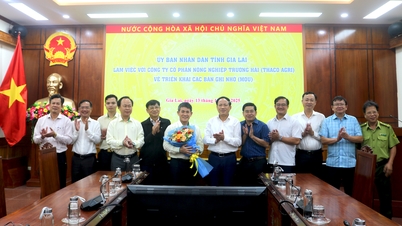 Chairman of the Provincial People's Committee Pham Anh Tuan worked with Truong Hai Agricultural Joint Stock Company