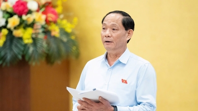 Draft Law amending and supplementing a number of articles of the Law on Citizen Reception, the Law on Complaints, and the Law on Denunciations: The Chairman of the Provincial and Commune People's Committee is not authorized to receive citizens.